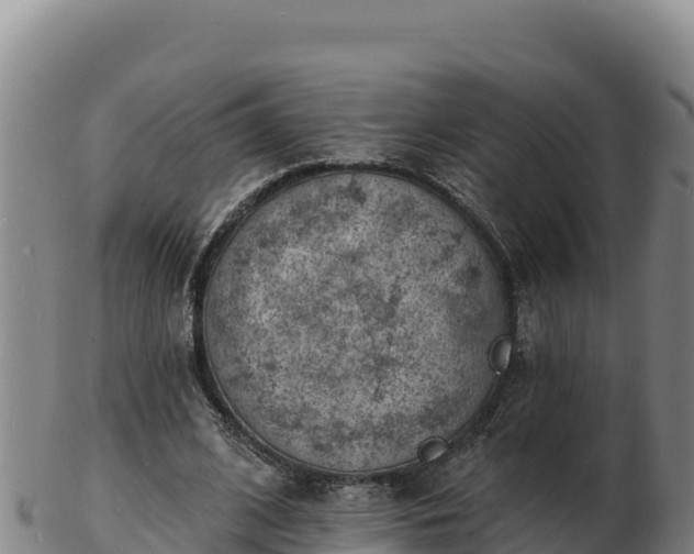 X0000103240584200809041049