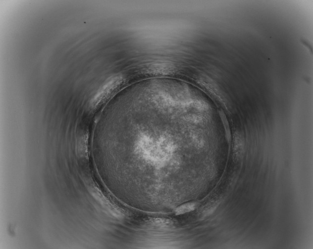 X0000103240585200809041049