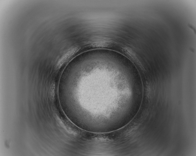 X0000103240586200809041049