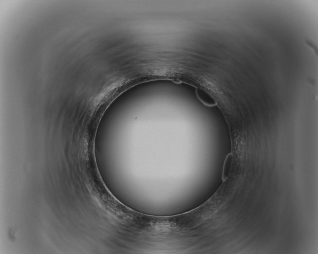 X0000103240587200809041049