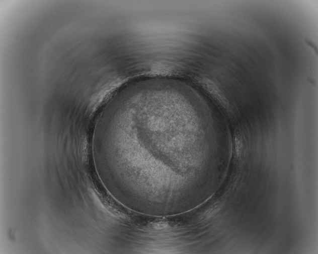 X0000103240588200809041049