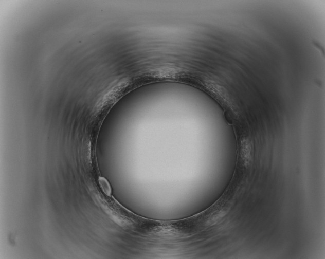 X0000103240589200809041049