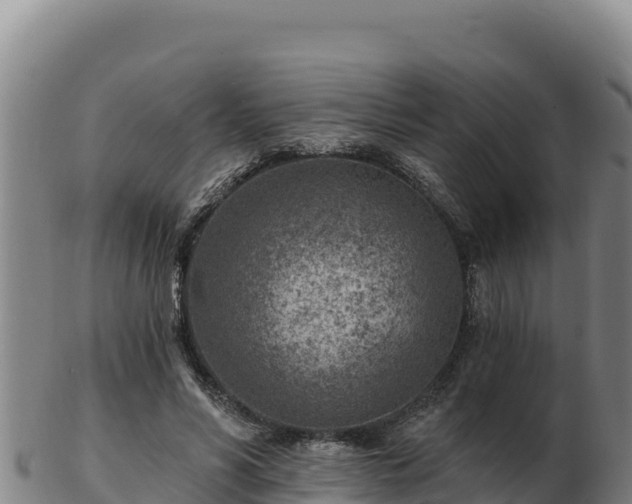 X0000103240590200809041049