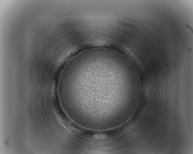 X0000103240591200809041049