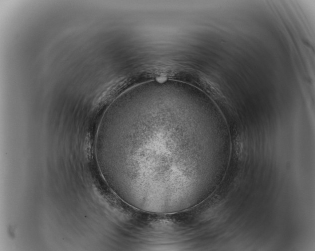 X0000103240594200809041048