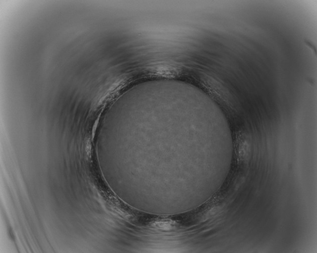 X0000103240595200809041048