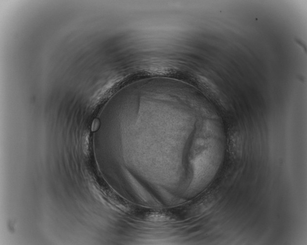 X0000103240596200809041048