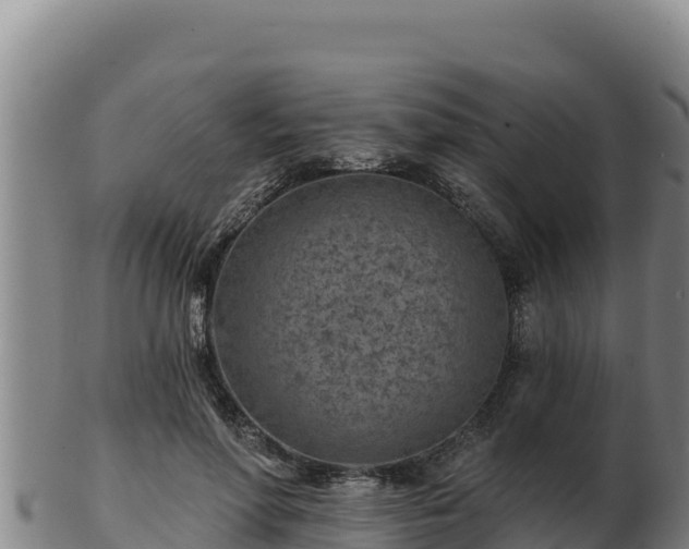 X0000103240598200809041048