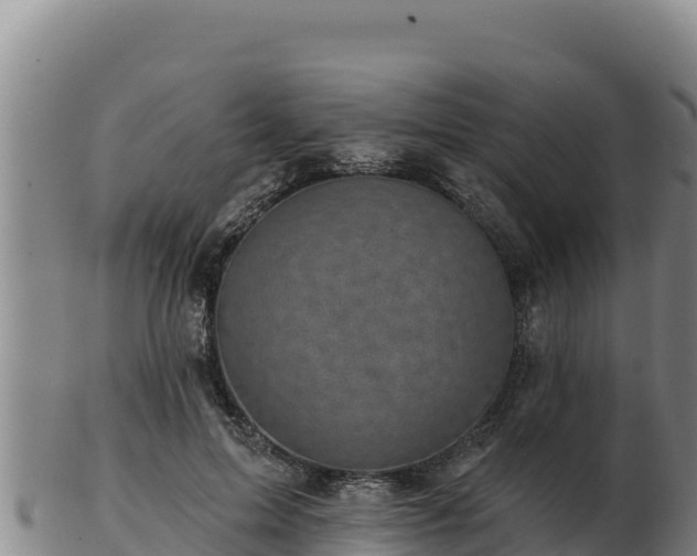 X0000103240599200809041048