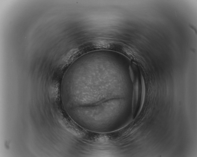 X0000103240600200809041048