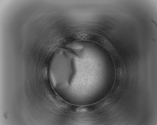 X0000103240602200809041048