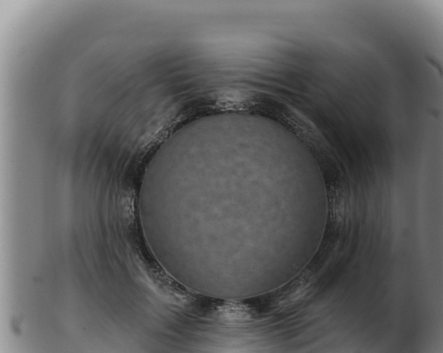 X0000103240603200809041048