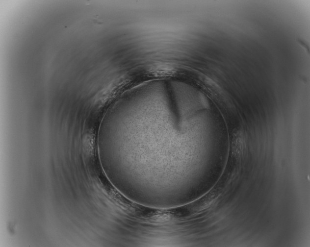 X0000103240604200809041048