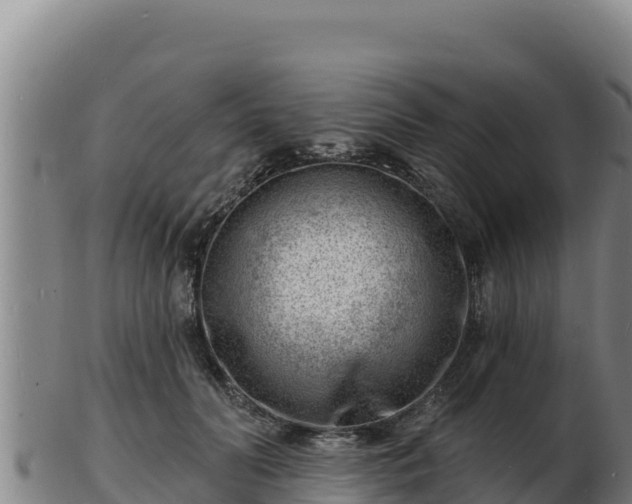 X0000103240606200809041048