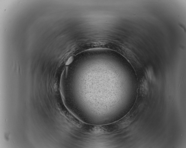 X0000103240608200809041048