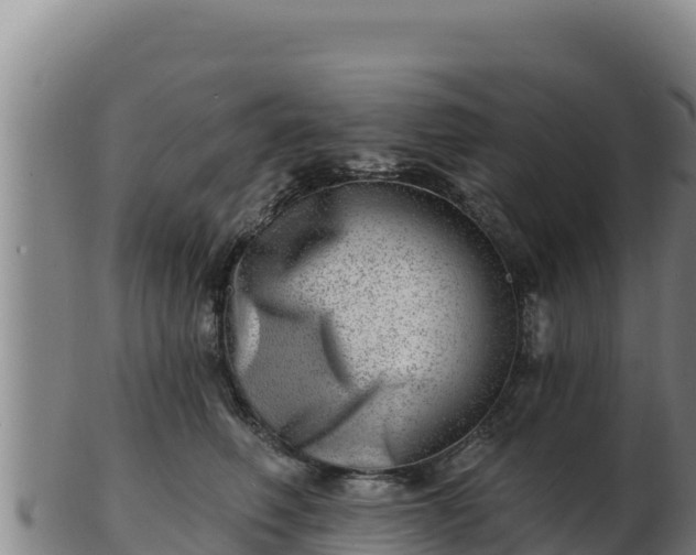 X0000103240614200809041048