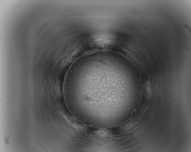 X0000103240615200809041048