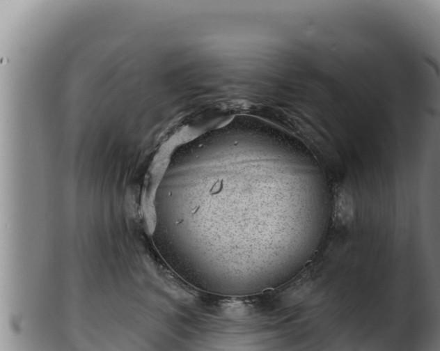 X0000103240616200809041048