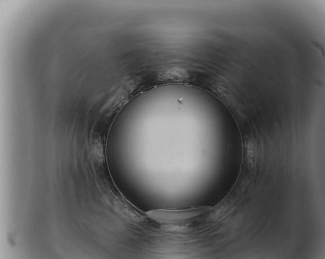 X0000103240617200809041048