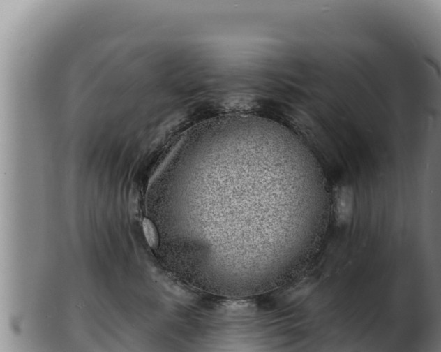 X0000103240619200809041048