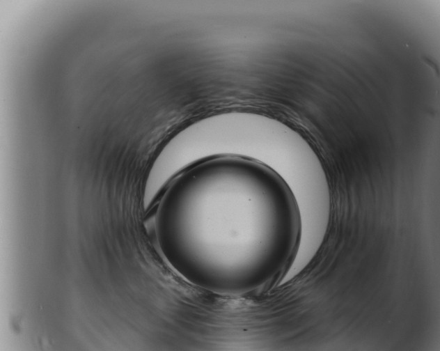 X0000103240621200809041048