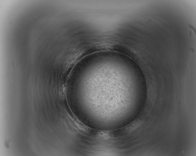 X0000103240624200809041048