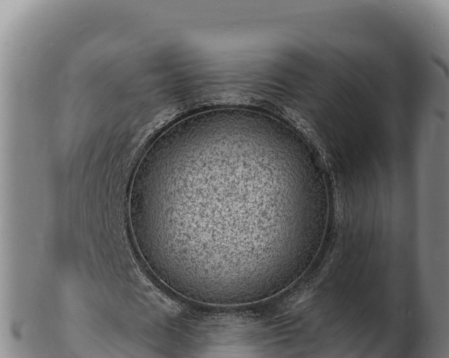 X0000103240625200809041047