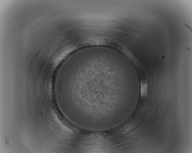 X0000103240627200809041047