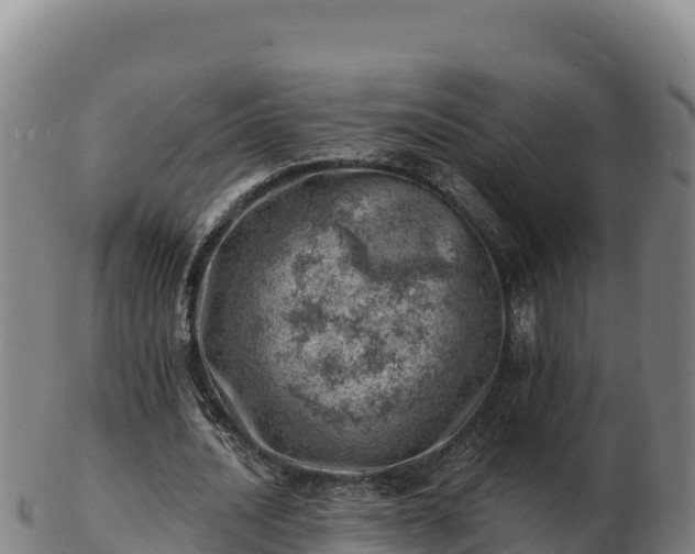 X0000103240628200809041047