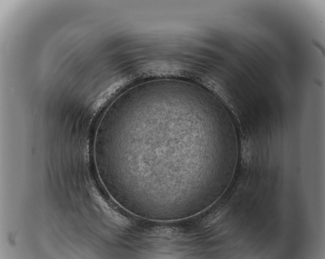 X0000103240629200809041047