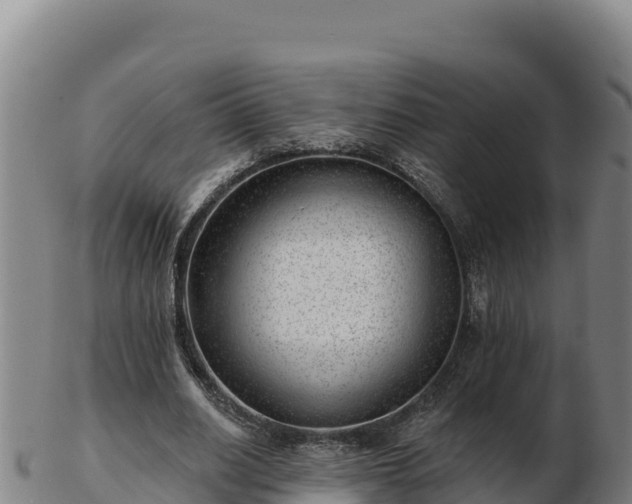 X0000103240630200809041047