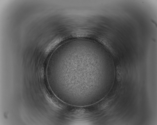 X0000103240631200809041047