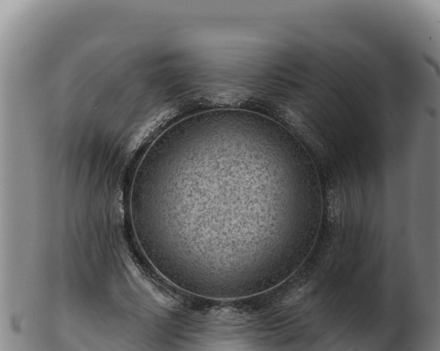 X0000103240634200809041047