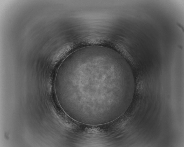 X0000103240635200809041047