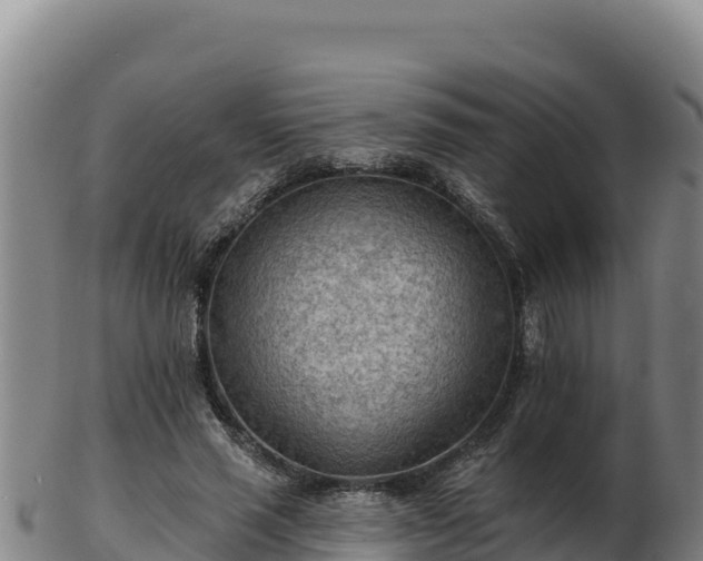 X0000103240637200809041047