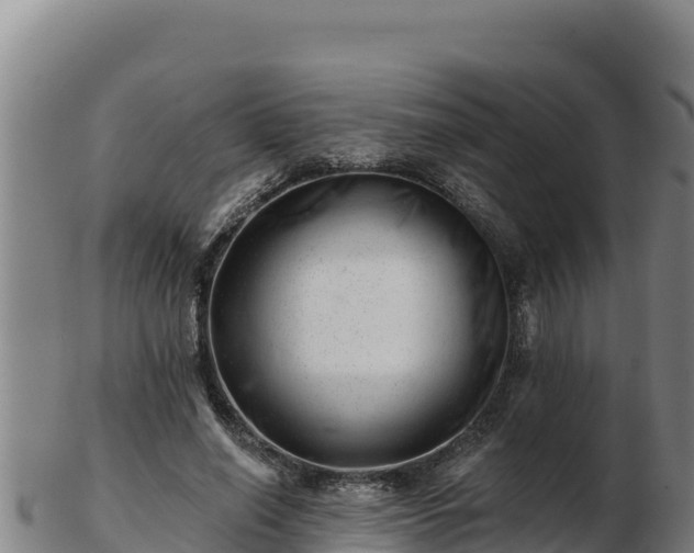 X0000103240638200809041047