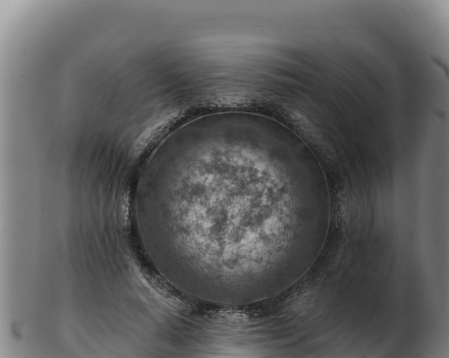 X0000103240640200809041047