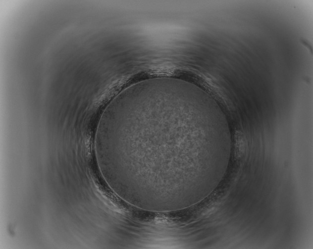 X0000103240641200809041047