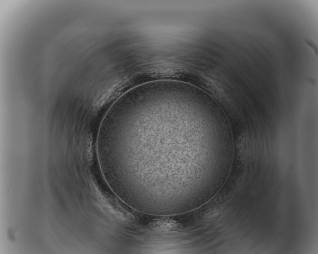 X0000103240642200809041047