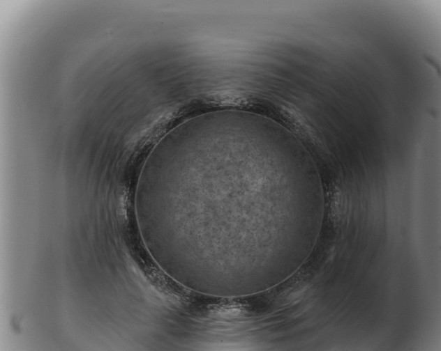 X0000103240643200809041047