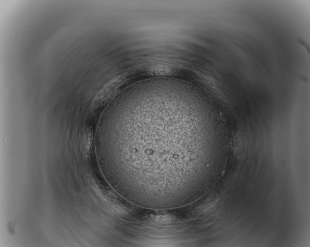 X0000103240645200809041048