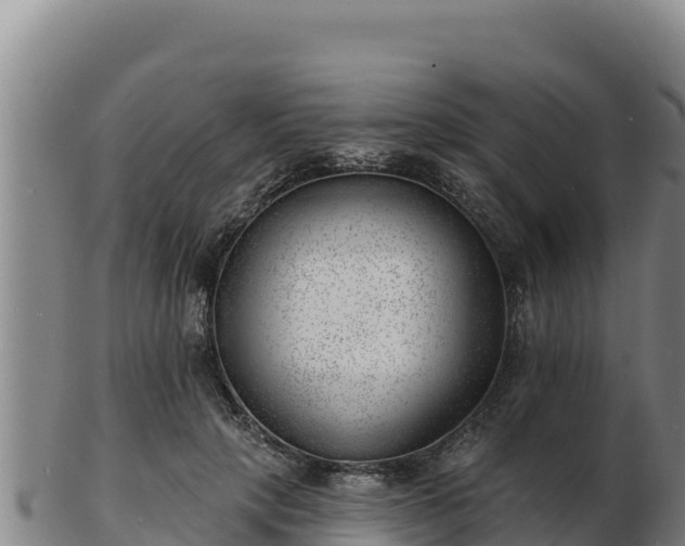 X0000103240649200809041048