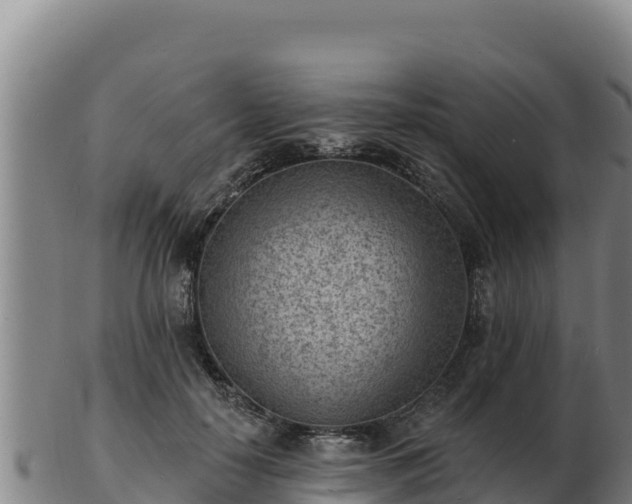 X0000103240650200809041048