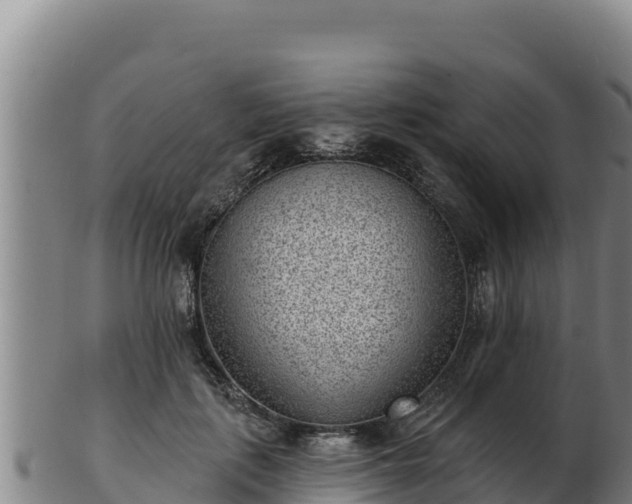 X0000103240651200809041048