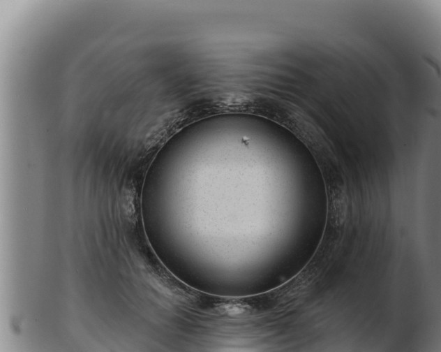 X0000103240654200809041048