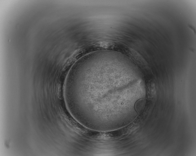 X0000103240656200809041048