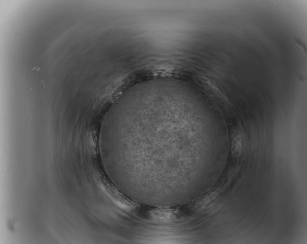 X0000103240661200809041048