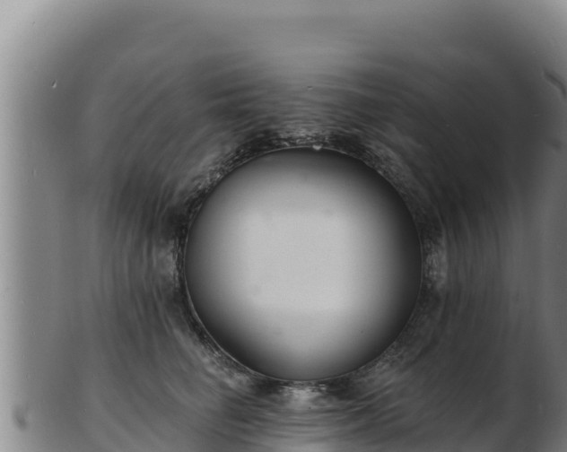 X0000103240662200809041048