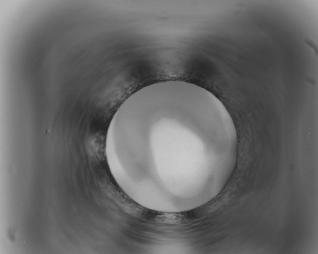 X0000103240672200809041048