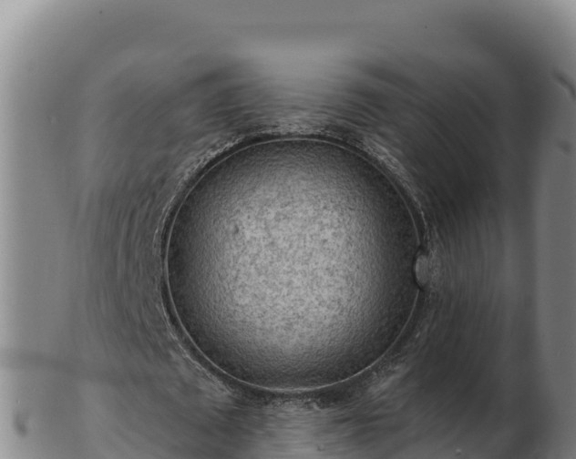 X0000103240673200809041047